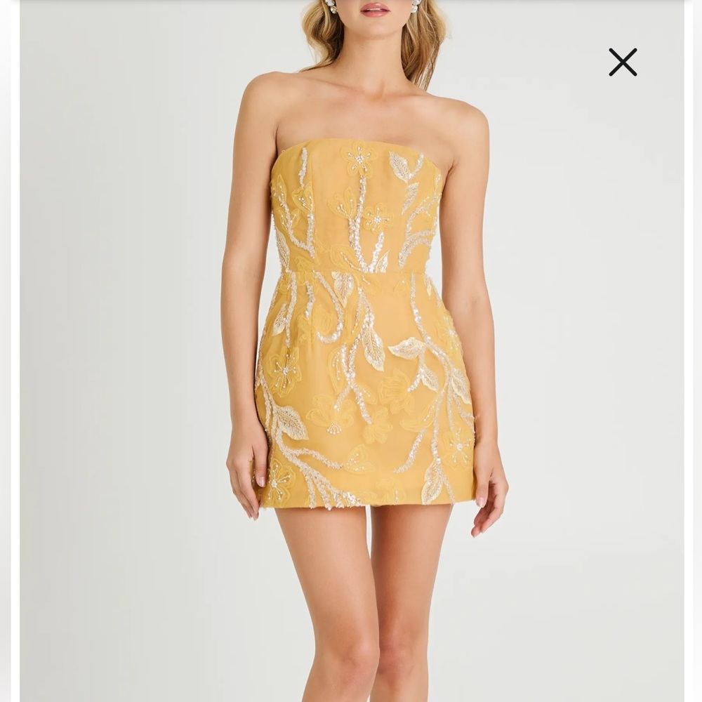 NTW Marisa Floral Strapless Fit & Flare Minidress size Medium